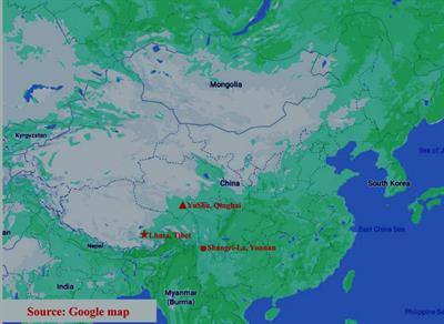 Comparison of Gut Microbiota of Yaks From Different Geographical Regions